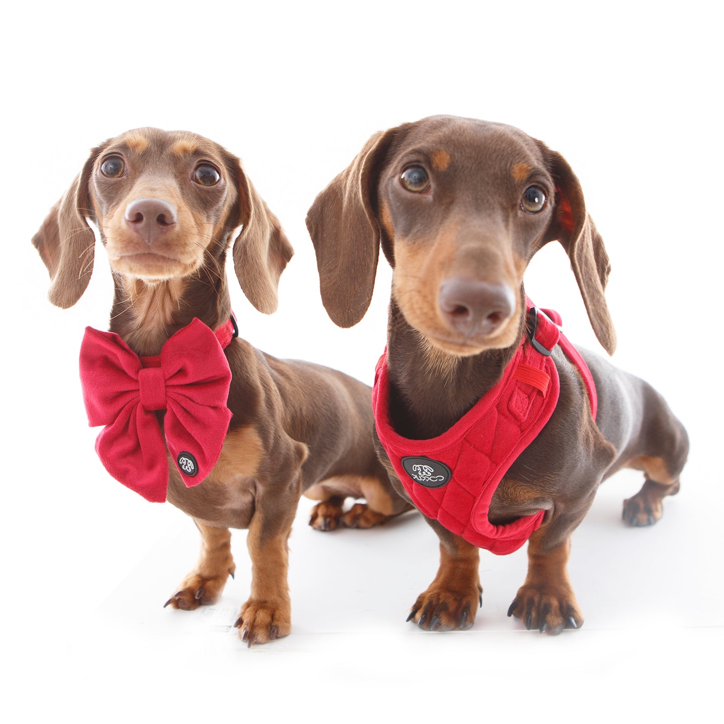 SALE! 25% OFF! Red Velvet Sailor Bow
