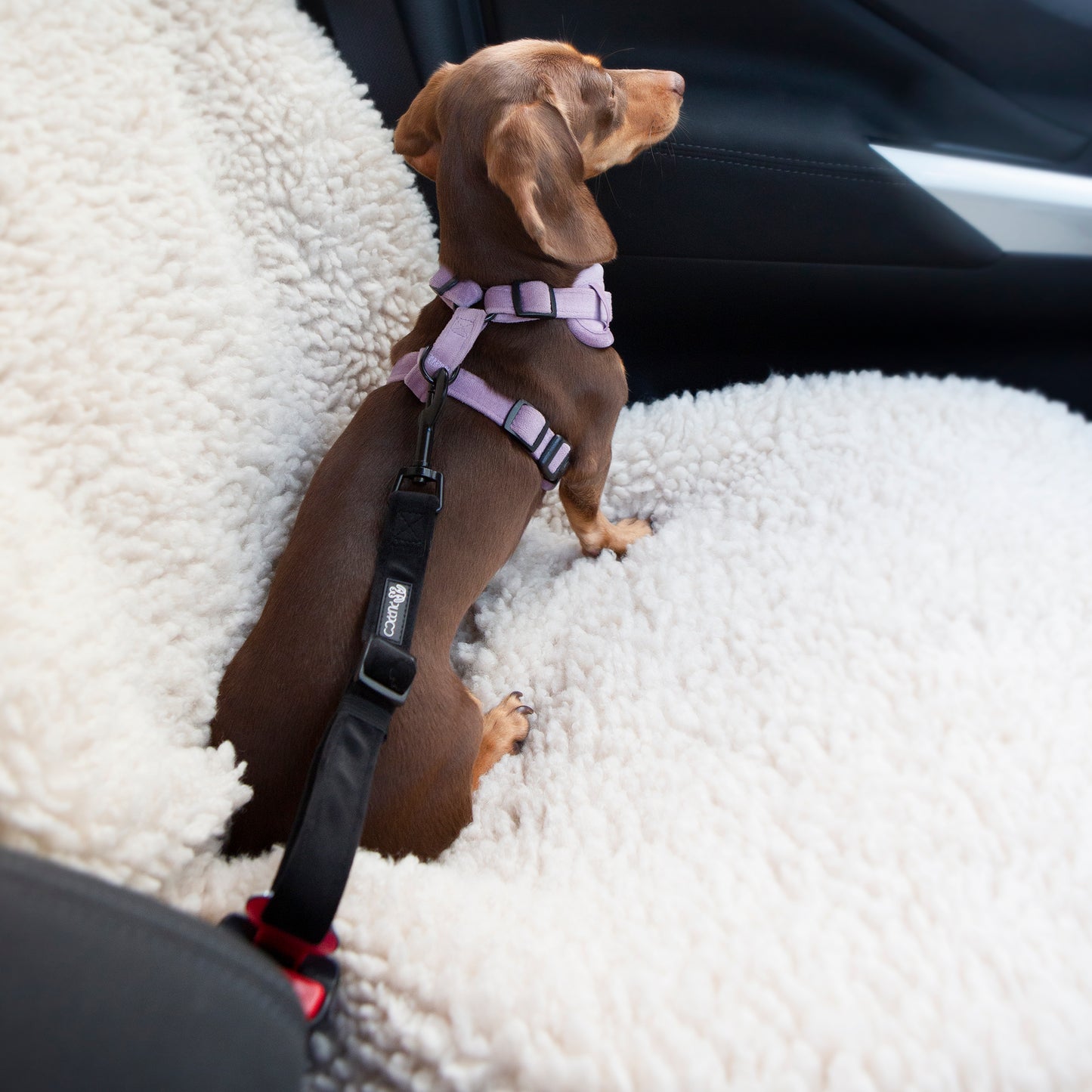 Velvet Adjustable Seat Belt Attachment - Black