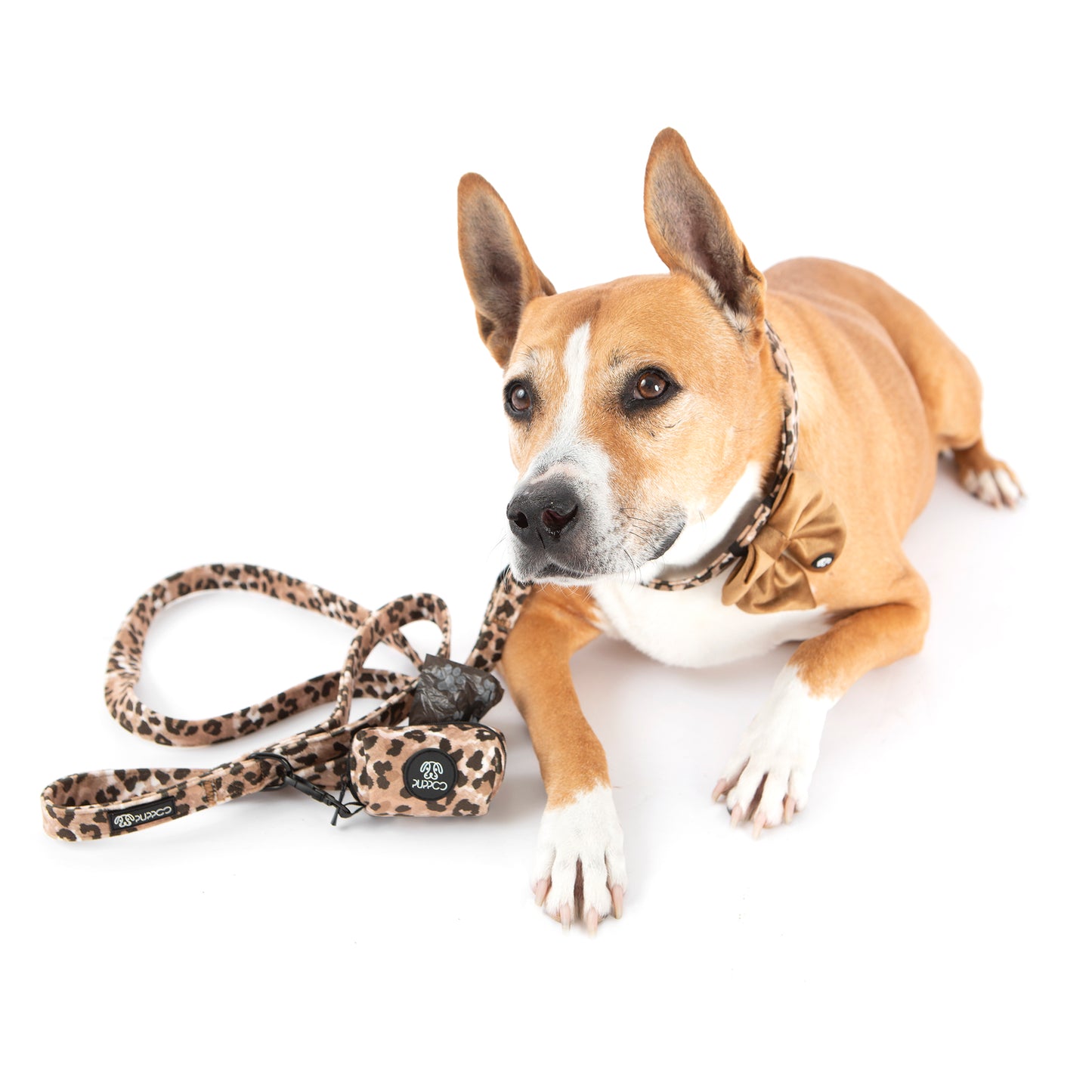 Jungle Velvet Collar