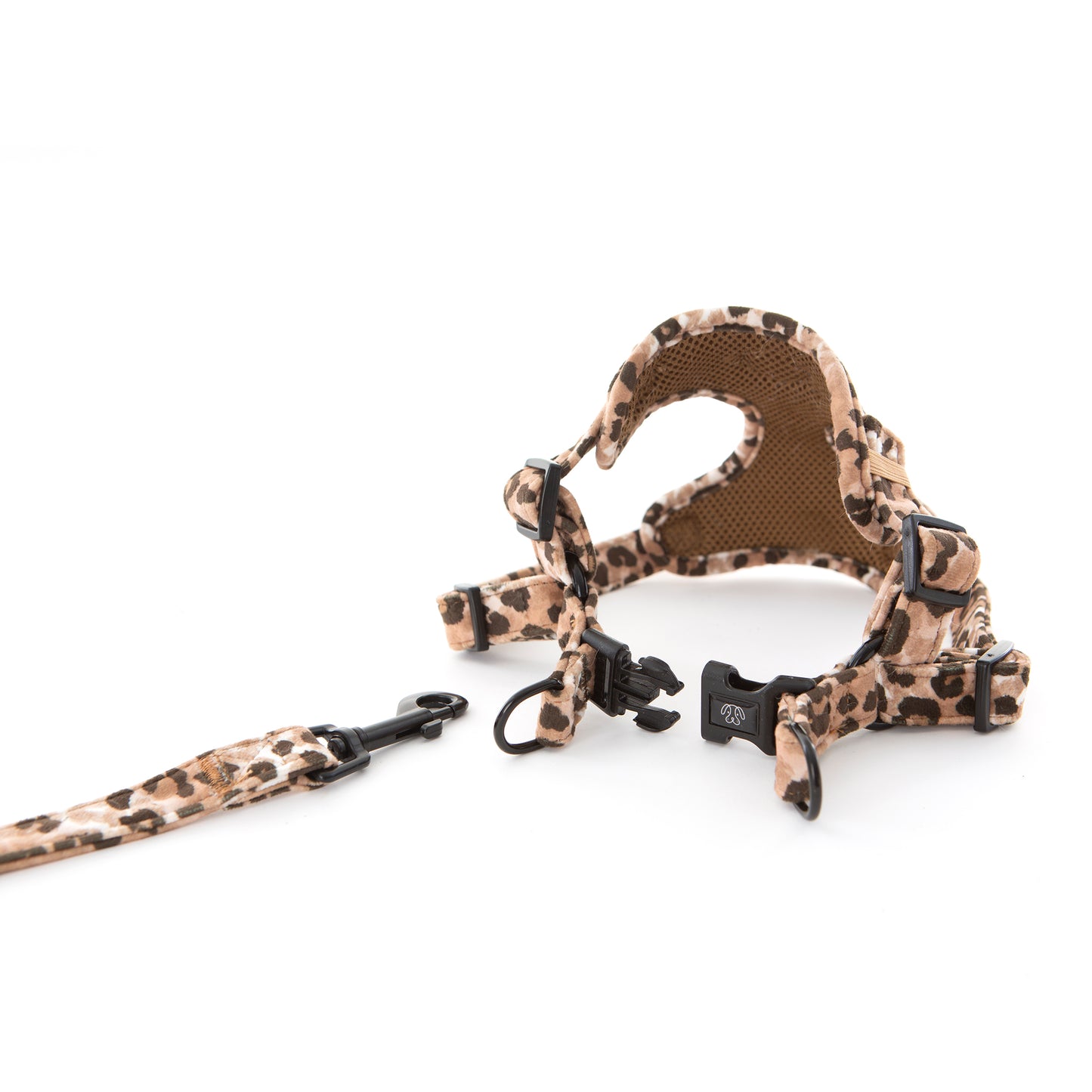 Leopard Print dog harness and lead