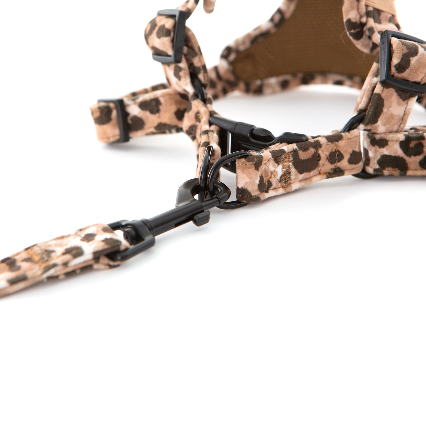 Leopard Print Dog Harness, lead attached