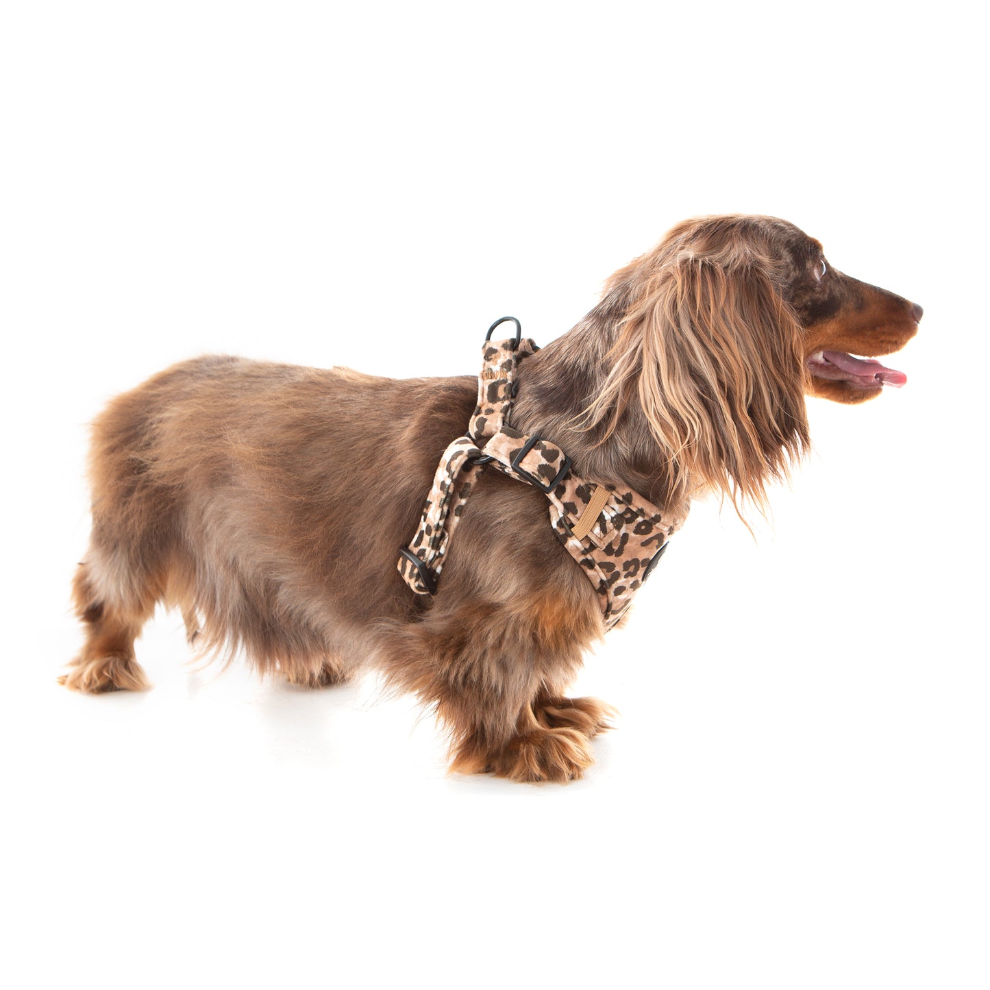 60% OFF! Jungle Velvet STEP IN Harness