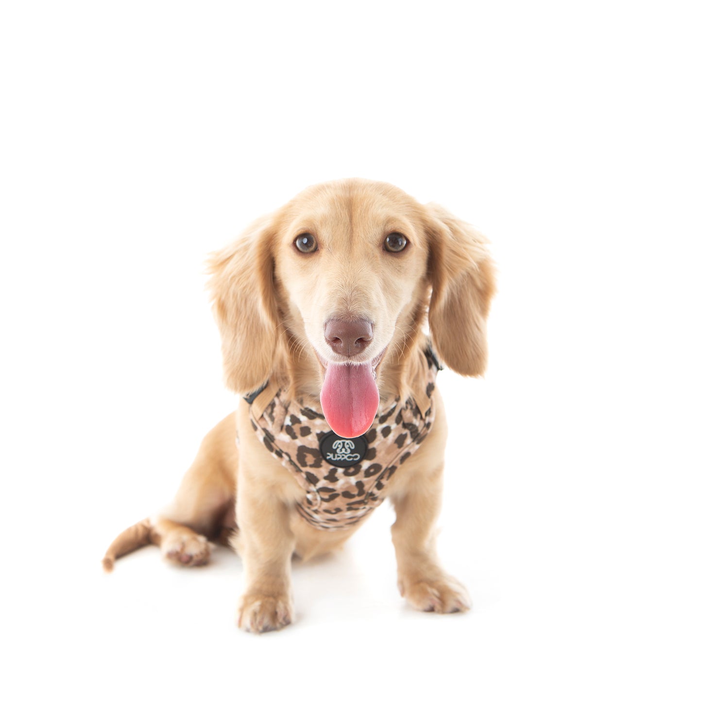 60% OFF! Jungle Velvet STEP IN Harness