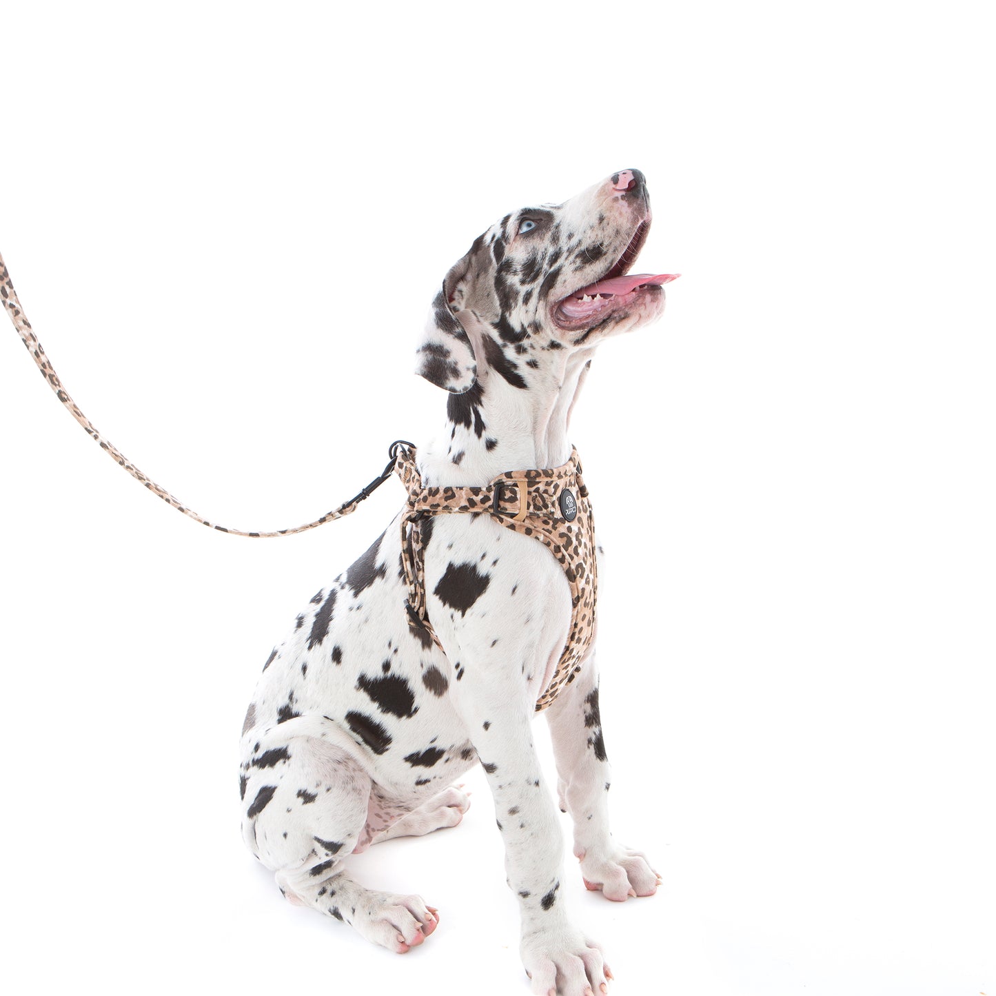 60% OFF! Jungle Velvet STEP IN Harness