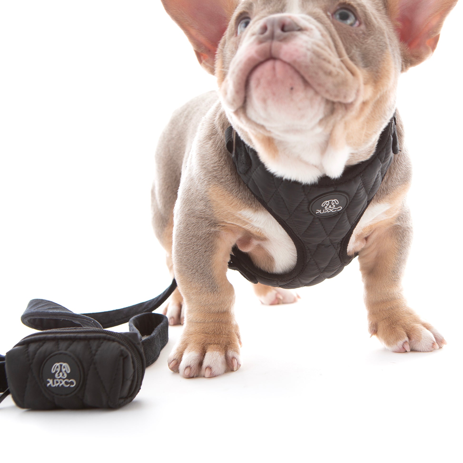Puffer Vest Dog Harness on puppy American Bully