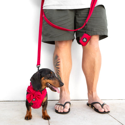 Red Quilted Velvet Harness