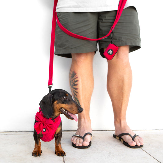 Velvet Deluxe Quilted Harness Red