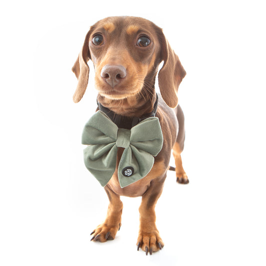 Sage Velvet Sailor Bow