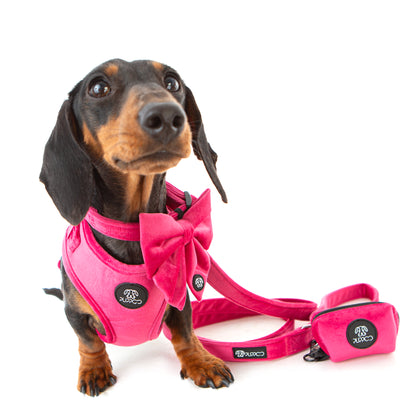 Pink Velvet Harness