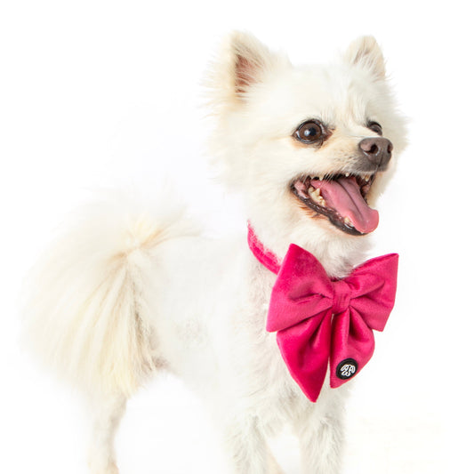 Pink Velvet Sailor Bow