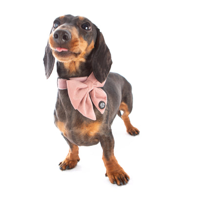 *NEW*  Soft Pink Corduroy Sailor Bow