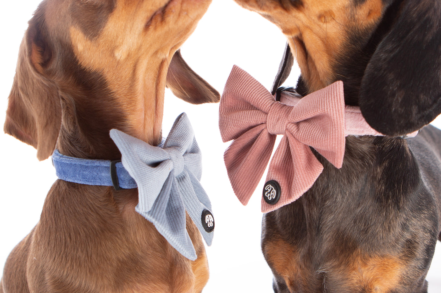 *NEW* Soft Blue Corduroy Sailor Bow