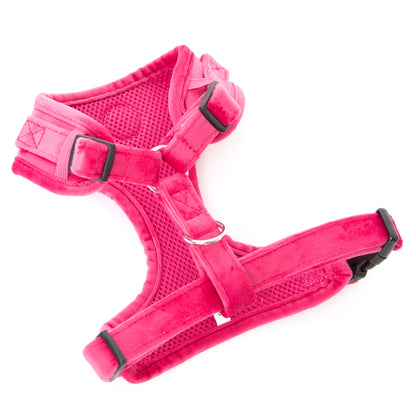 Pink Velvet Harness