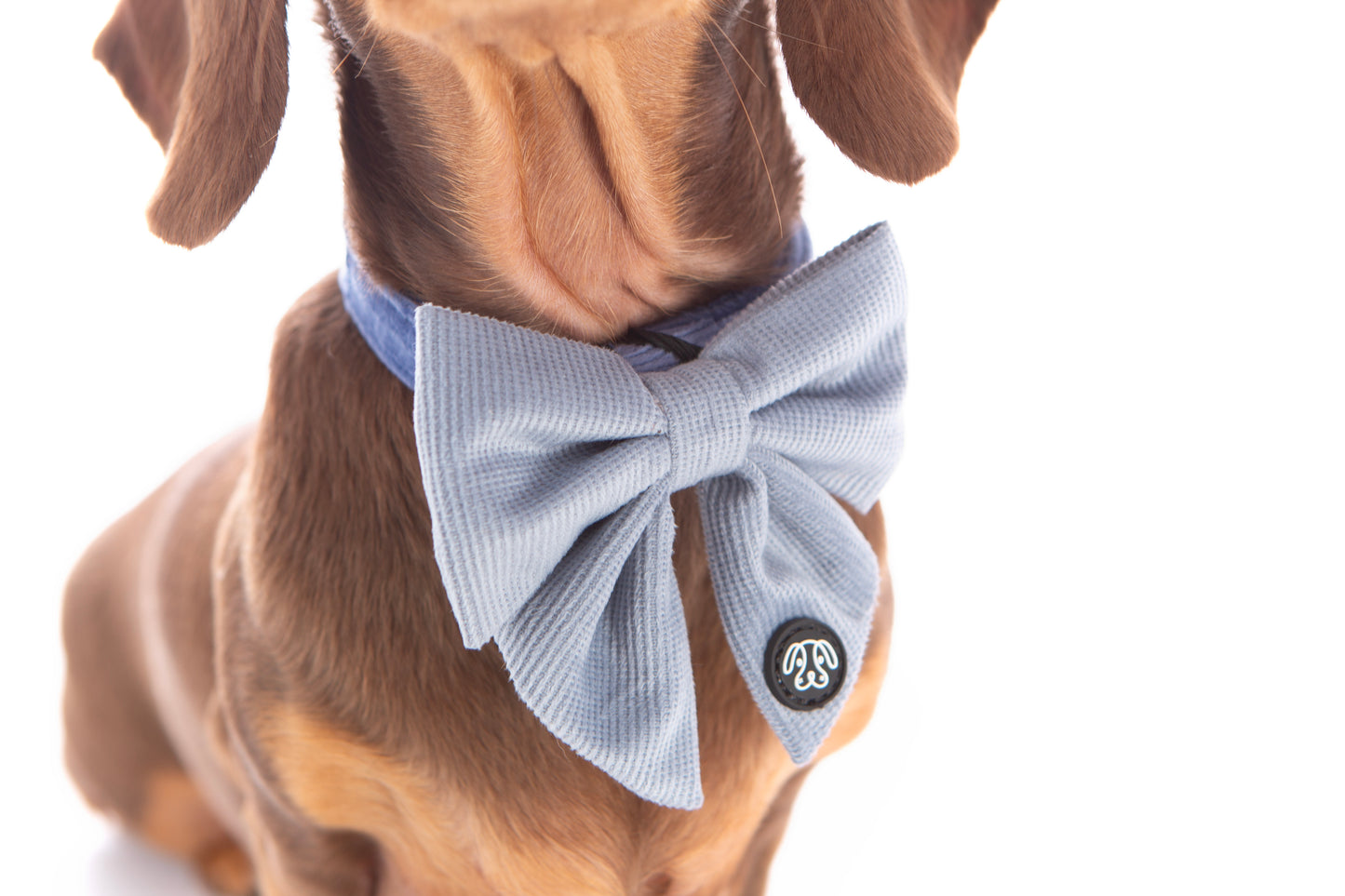 *NEW* Soft Blue Corduroy Sailor Bow