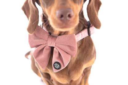 *NEW*  Soft Pink Corduroy Sailor Bow