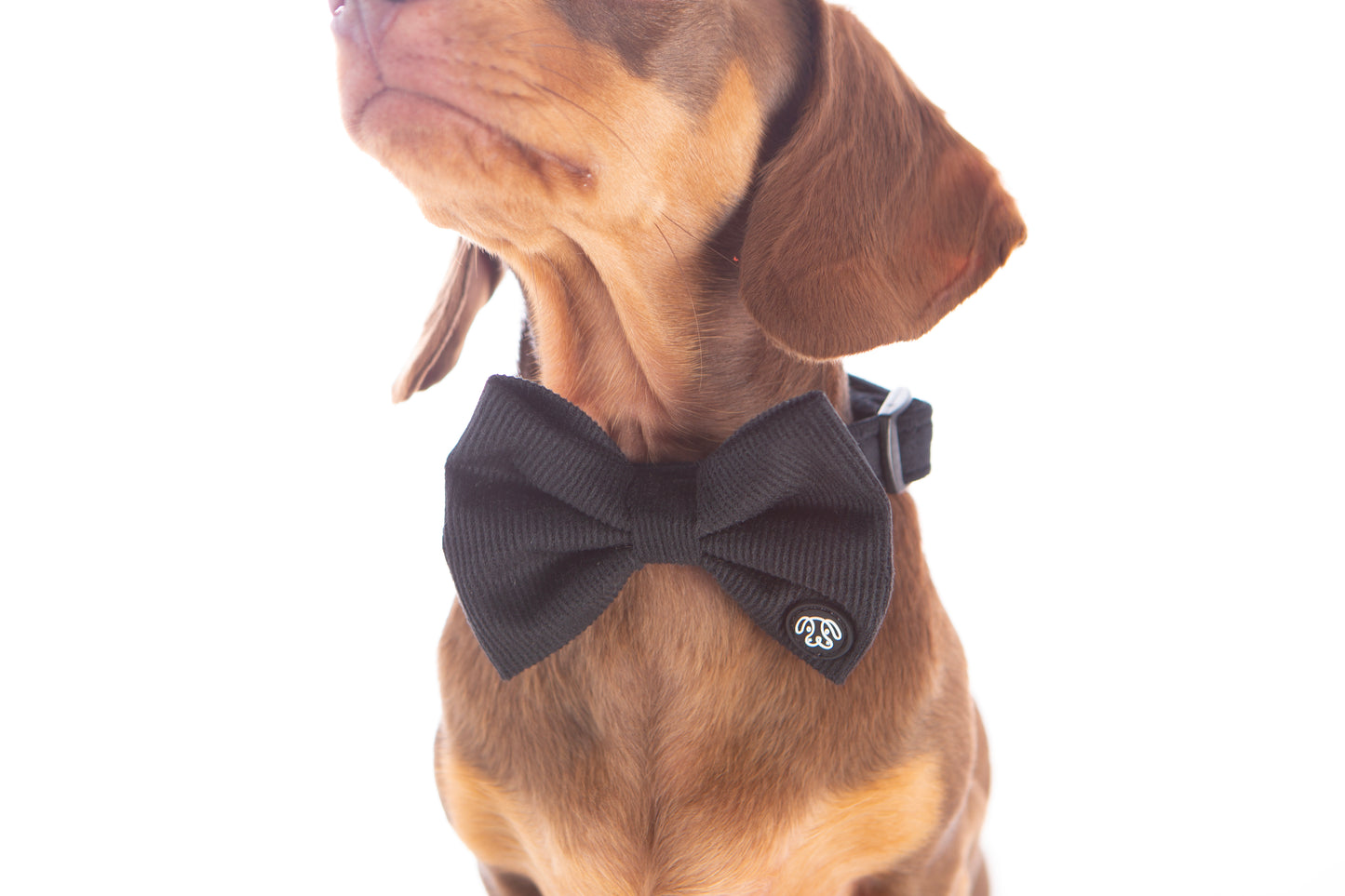 *NEW* Black Corduroy Bow Tie