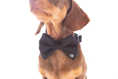 *NEW* Black Corduroy Bow Tie
