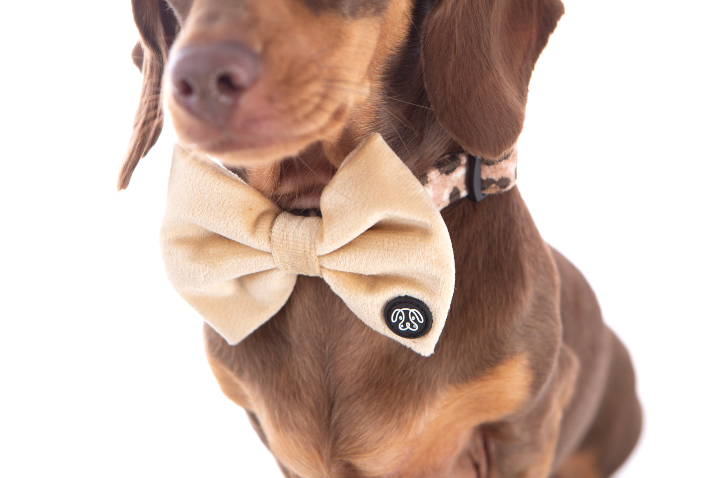 *NEW* Cream Velvet Bow Tie