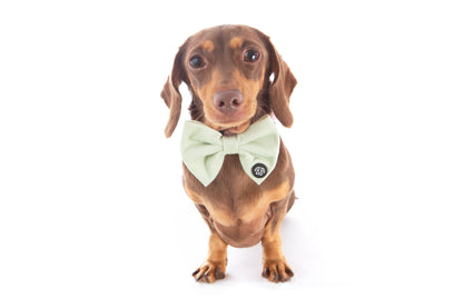 *NEW* Mint Corduroy Bow Tie