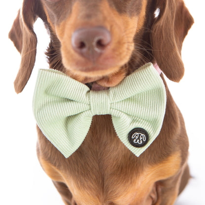 *NEW* Mint Corduroy Bow Tie