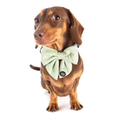 *NEW* Mint Corduroy Sailor Bow