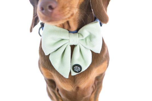 *NEW* Mint Corduroy Sailor Bow