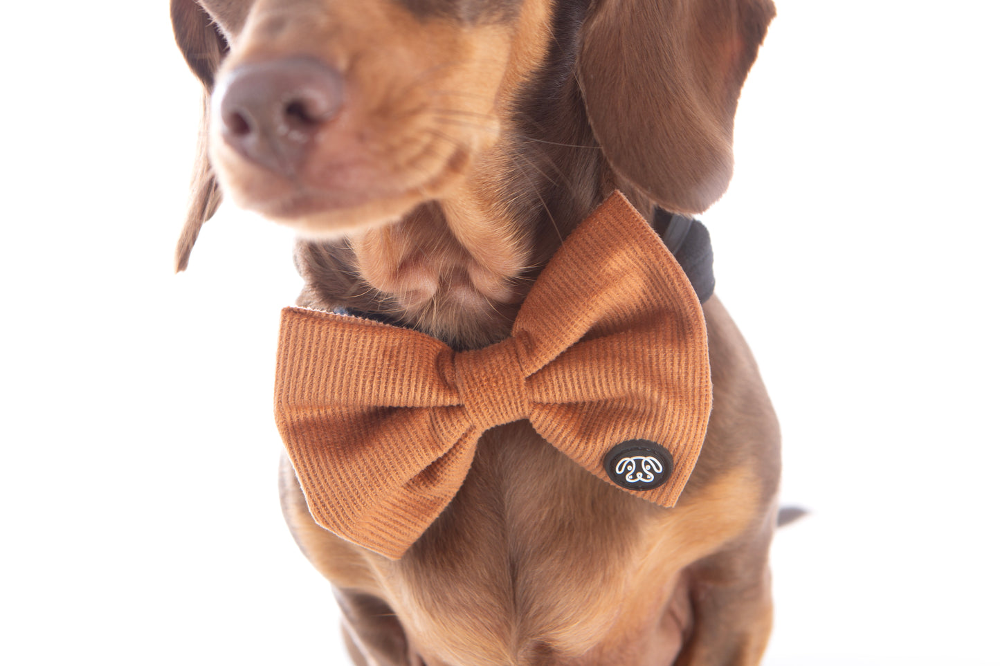 *NEW* Chocolate Corduroy Bow Tie