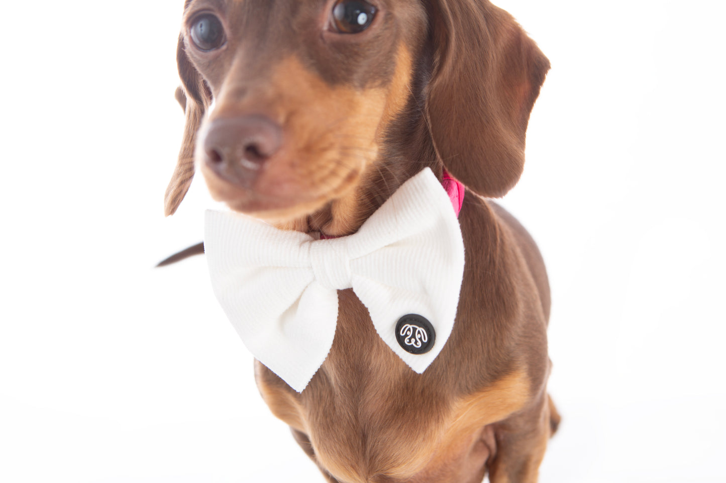 *NEW* White Corduroy Bow Tie