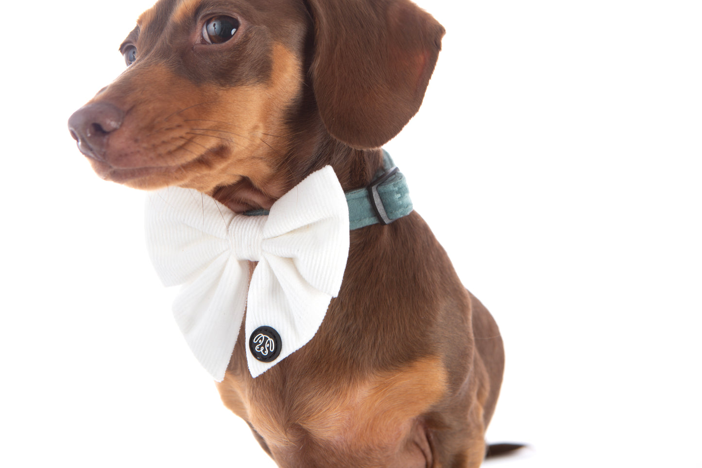 *NEW*  White Corduroy Sailor Bow