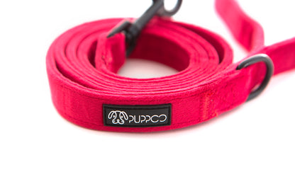 Red Collar Bundle