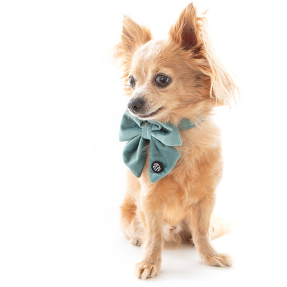 Teal Velvet Sailor Bow