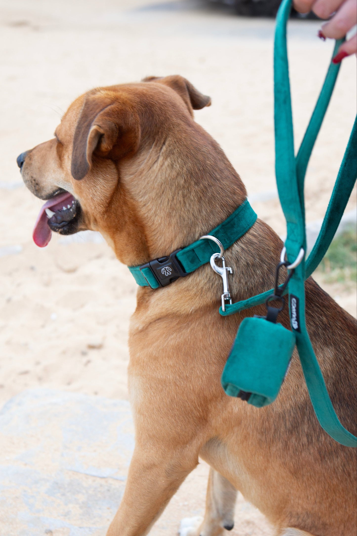 Deep Green Velvet Collar