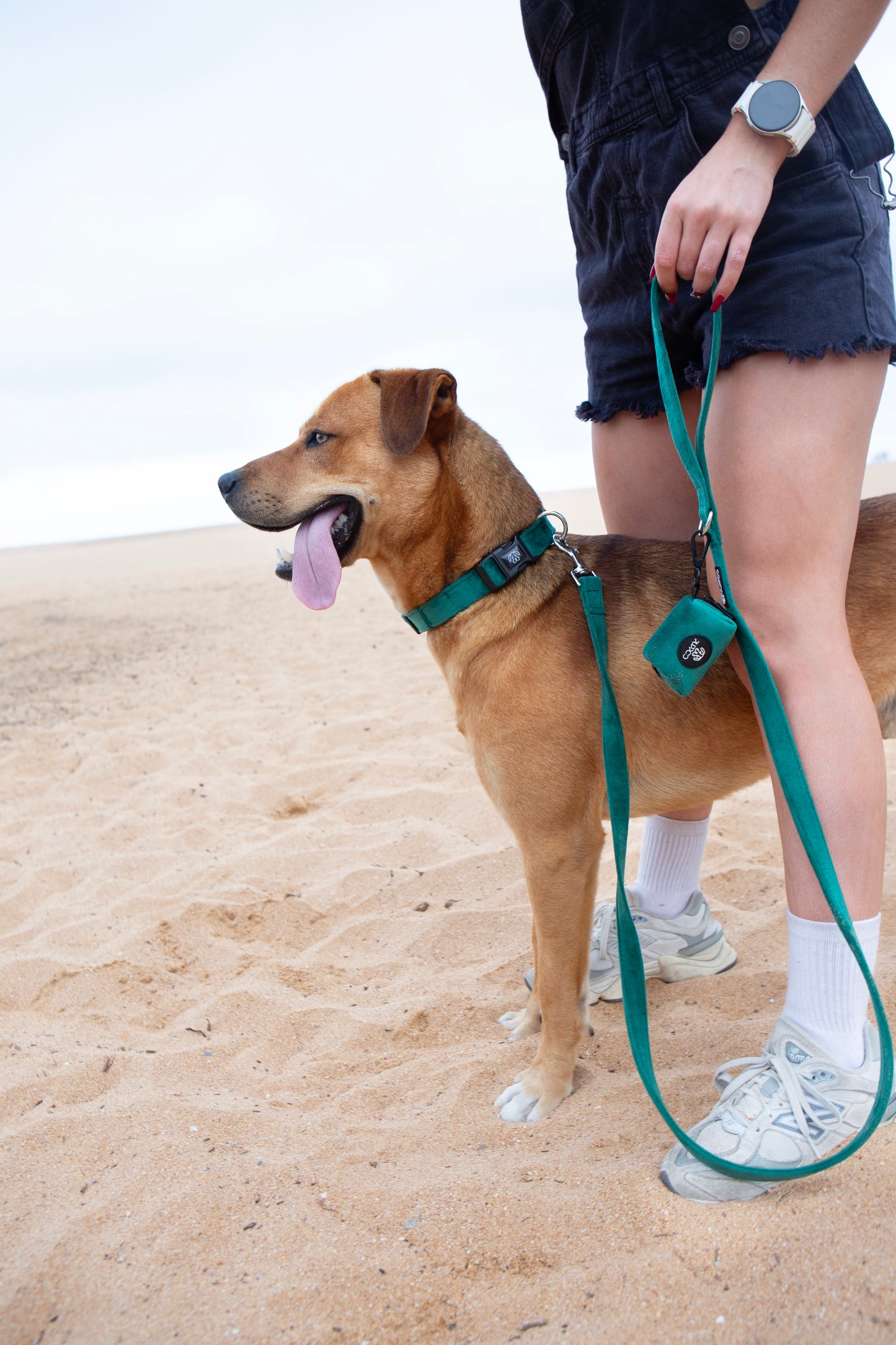 Deep Green Collar Bundle