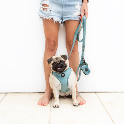 Teal Velvet Harness