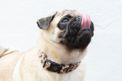 Jungle Velvet Collar