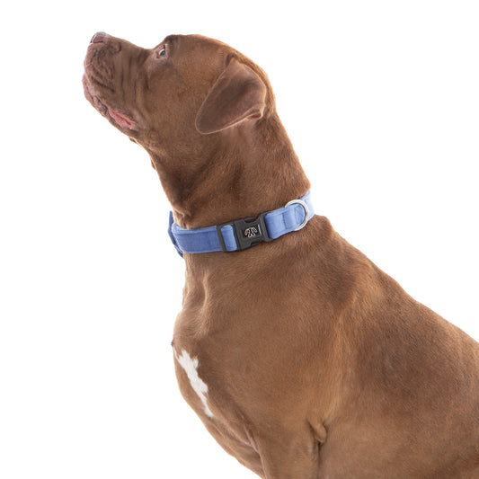 Steel Blue Velvet Collar
