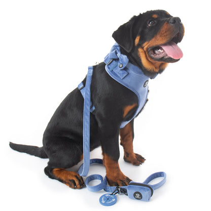 Steel Blue Velvet Harness Bundle