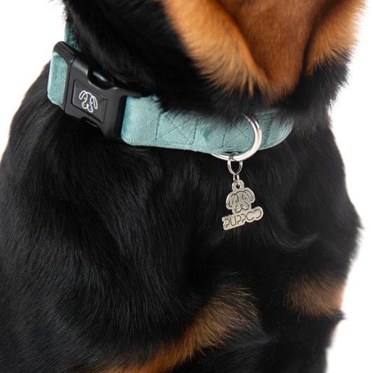 Teal Velvet Collar