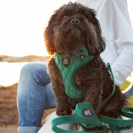 Deep Green Velvet Quilted Harness Bundle