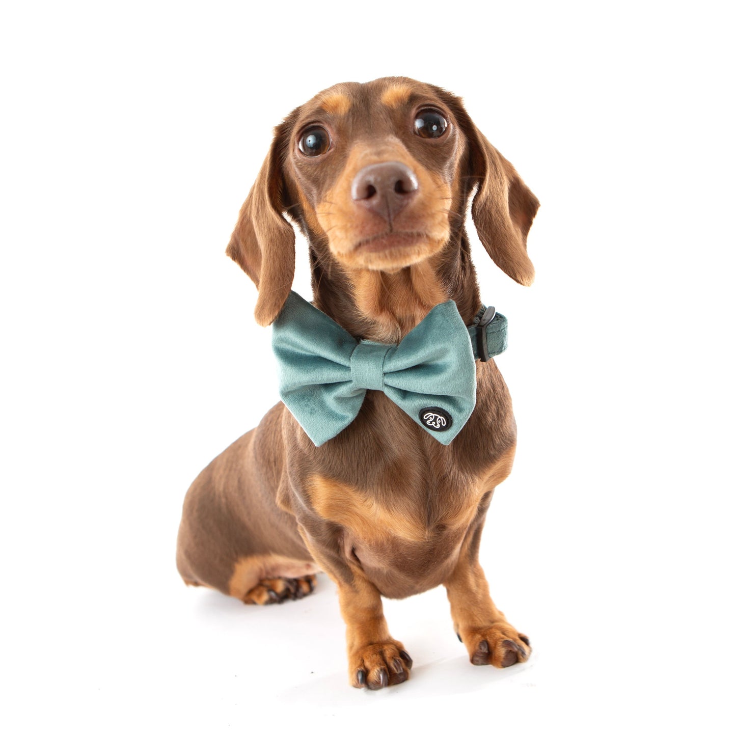 SALE! 25% OFF! Teal Velvet Bow Tie