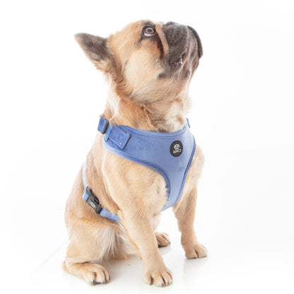 Steel Blue Velvet Harness