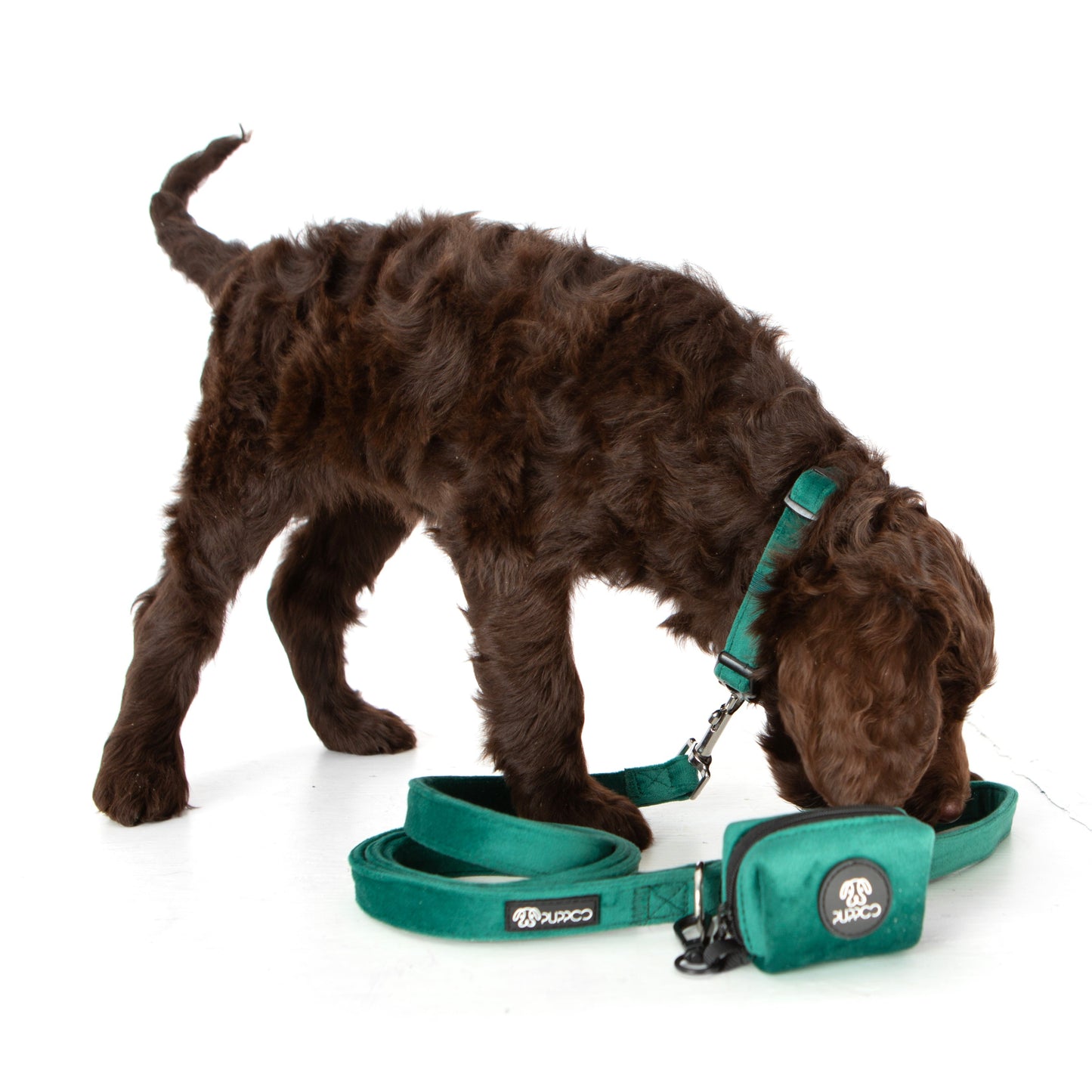 Deep Green Collar Bundle