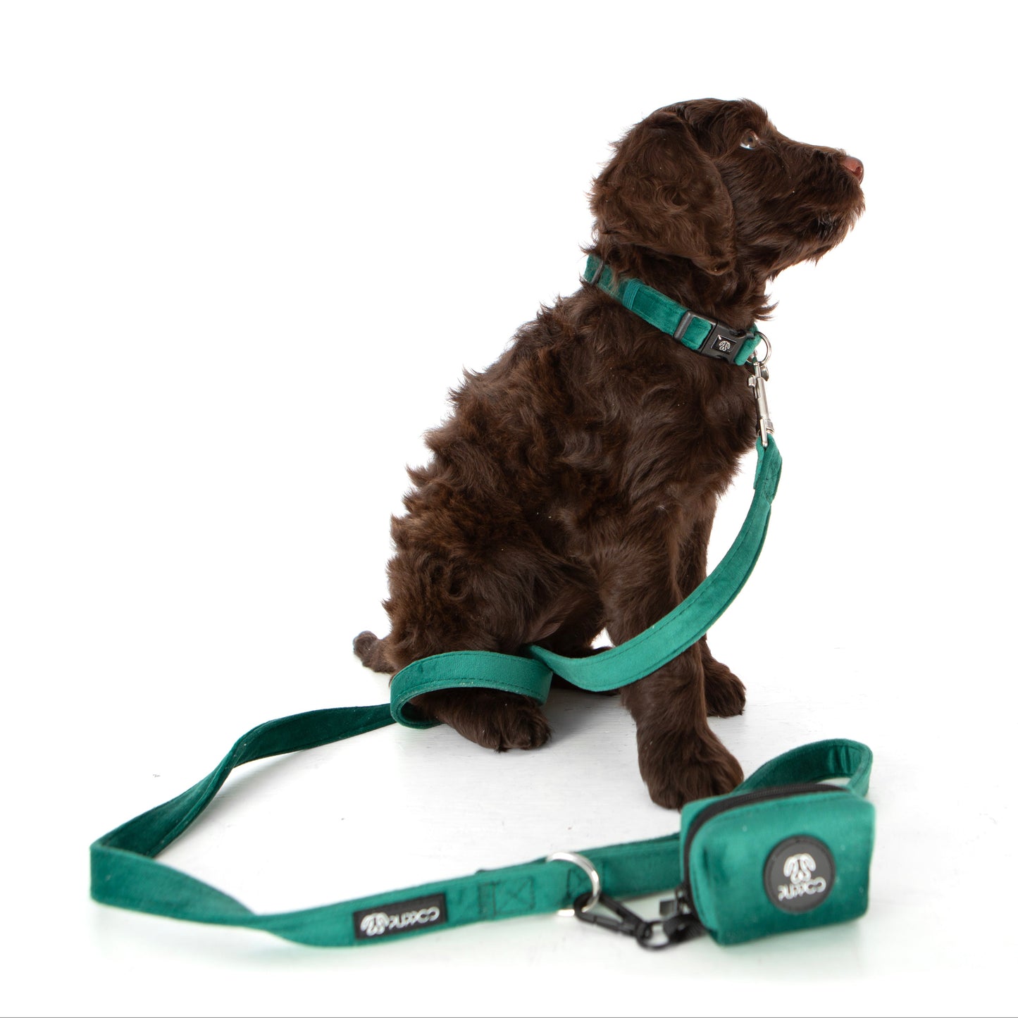 Deep Green Collar Bundle