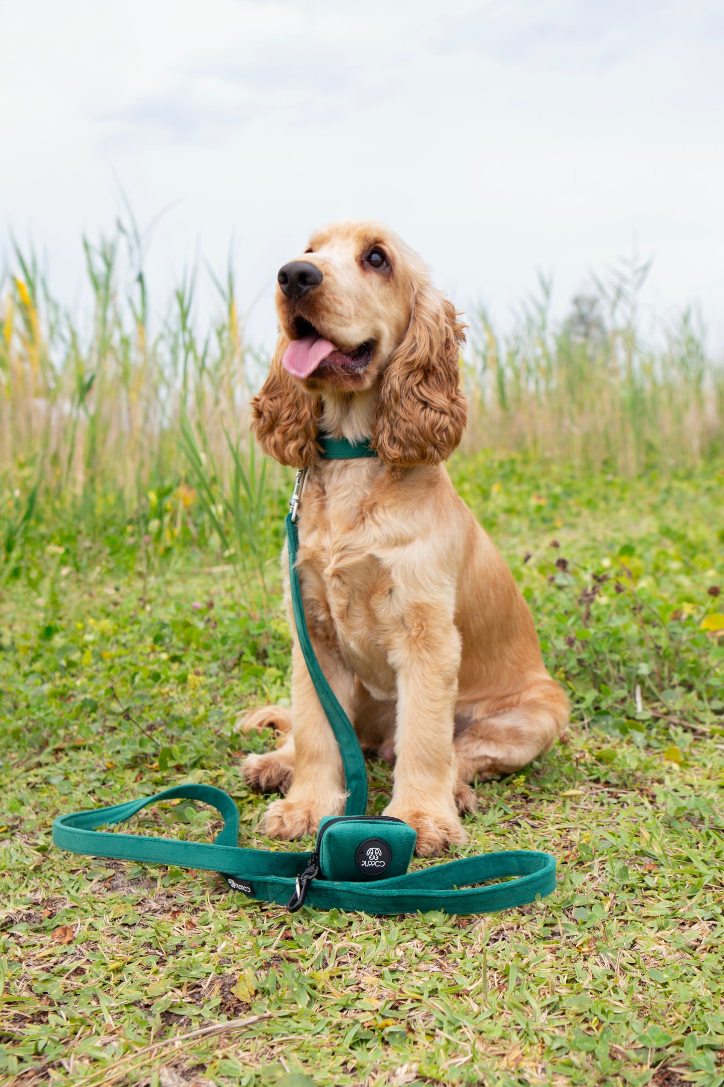 Deep Green Collar Bundle