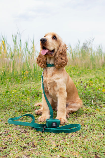 Deep Green Collar Bundle