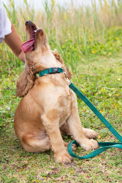 Deep Green Velvet Collar