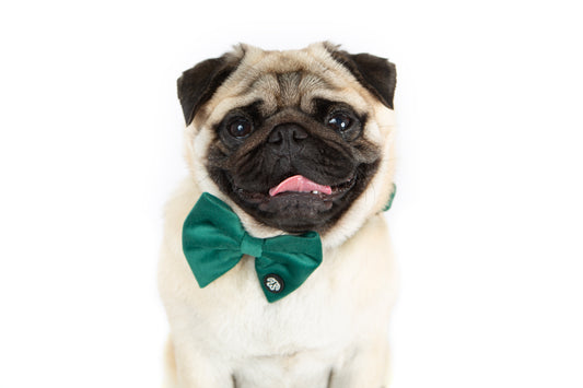 Green Velvet Bow Tie