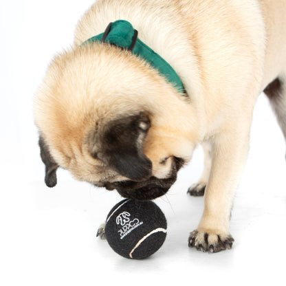 Pup Ball