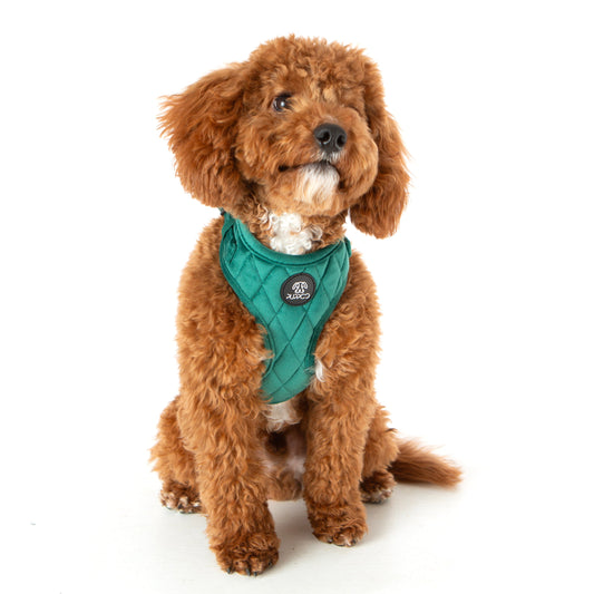 Deep Green Quilted Velvet Harness