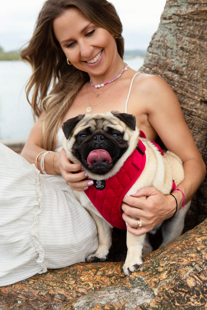 Red Quilted Velvet Harness